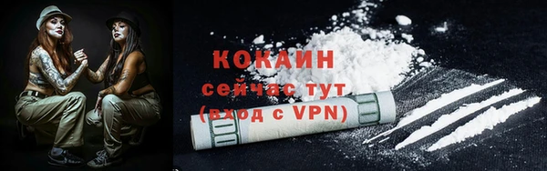 соль ск Михайлов