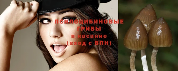 дживик Медногорск