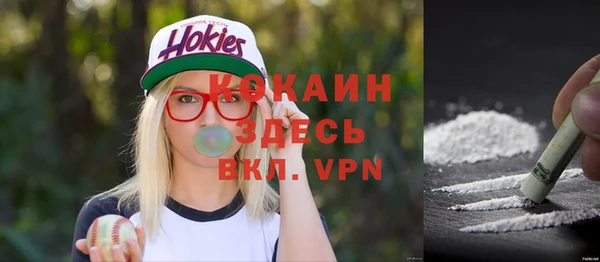индика Михайловка
