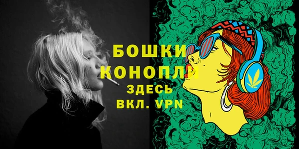 сатива Медвежьегорск