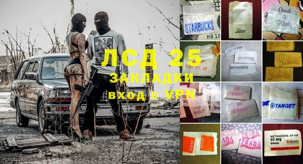 индика Михайловка