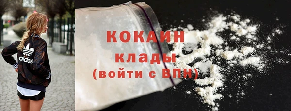 соль ск Михайлов