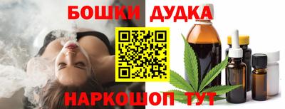 шишки Будённовск