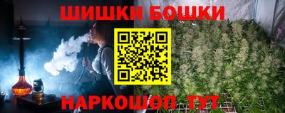 шишки Будённовск