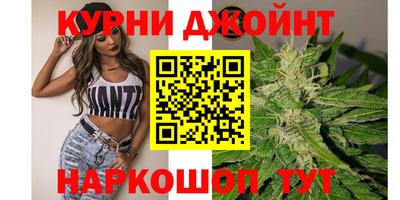 шишки Будённовск